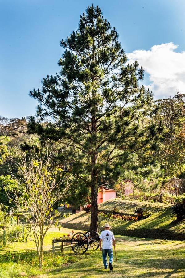 Sitio Araxa - 82 Anos De Historia - Suite Confortavel Em Meio A Floresta Paty do Alferes Exterior photo